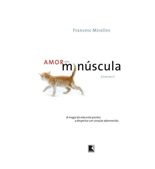 AMOR EM MINUSCULA