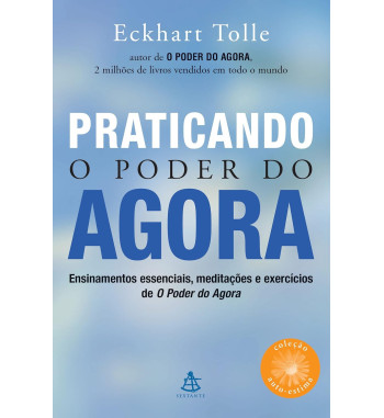 PRATICANDO O PODER DO AGORA : ENSINAMENTOS ESSENCIAIS MEDITACOES E EXERCICIOS DE O PODER DO AGORA