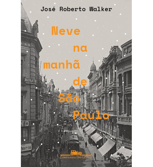 NEVE NA MANHA DE SAO PAULO