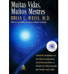 MUITAS VIDAS MUITOS MESTRES