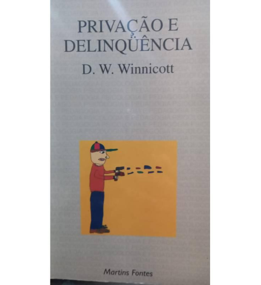 PRIVACAO E DELINQUENCIA